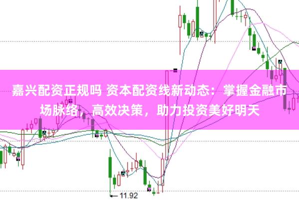 嘉兴配资正规吗 资本配资线新动态：掌握金融市场脉络，高效决策，助力投资美好明天