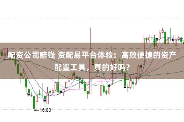 配资公司赔钱 资配易平台体验：高效便捷的资产配置工具，真的好吗？