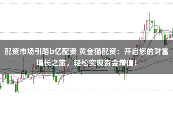 配资市场引路b亿配资 黄金猫配资：开启您的财富增长之旅，轻松实现资金增值！