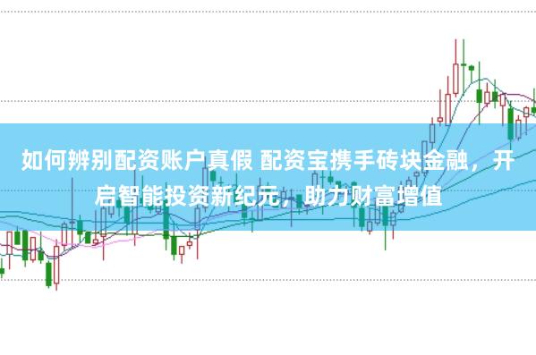 如何辨别配资账户真假 配资宝携手砖块金融，开启智能投资新纪元，助力财富增值