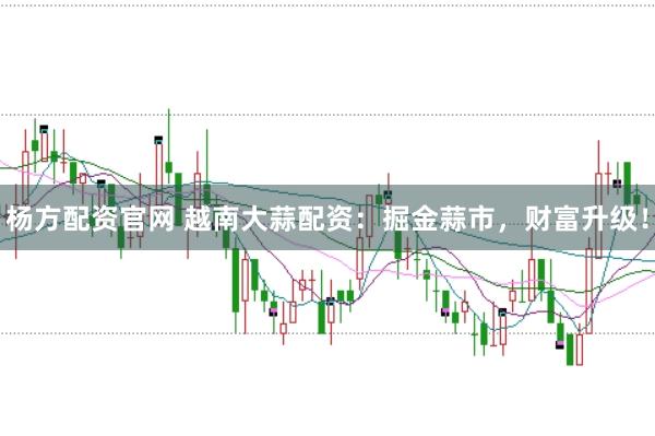 杨方配资官网 越南大蒜配资：掘金蒜市，财富升级！
