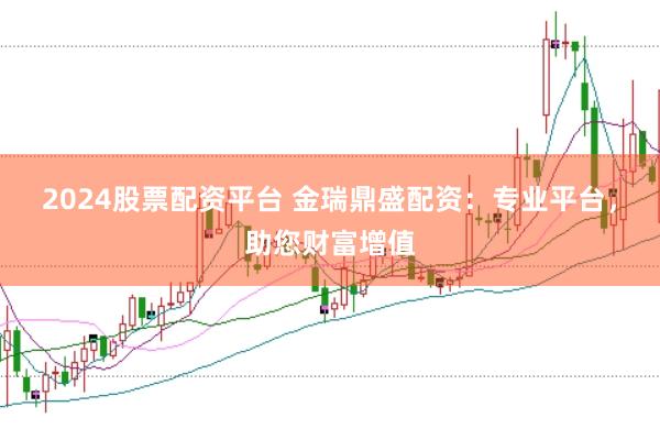2024股票配资平台 金瑞鼎盛配资：专业平台，助您财富增值