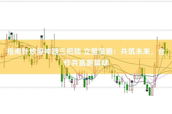 指南针炒股神器三把锁 立盟策略：共筑未来，合作共赢新篇章