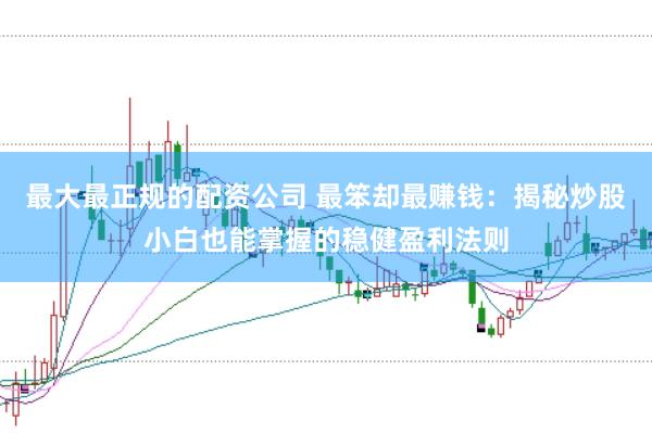 最大最正规的配资公司 最笨却最赚钱：揭秘炒股小白也能掌握的稳健盈利法则