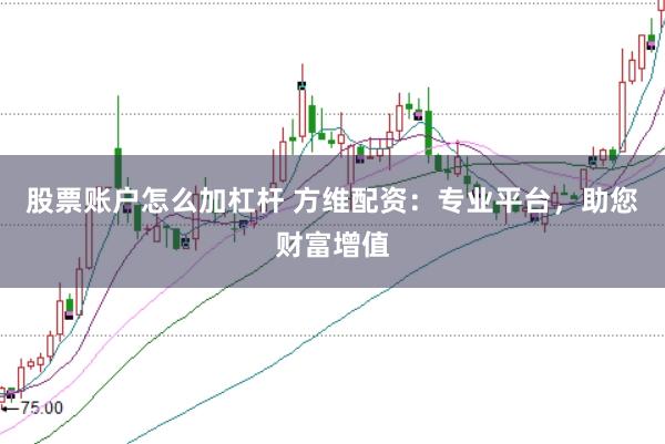 股票账户怎么加杠杆 方维配资：专业平台，助您财富增值